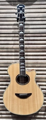 Yamaha - APX1000 NT